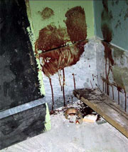 inside school opposite IMC
