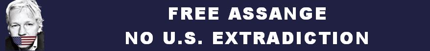 free assange n.JPG