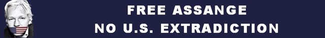 free
assange n.JPG